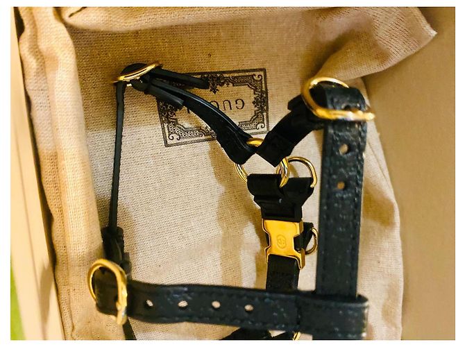 Gucci GG leather harness black - view 8