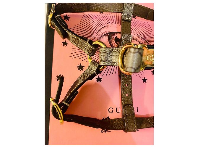 Gucci Harness GG Canvas Beige - view 11