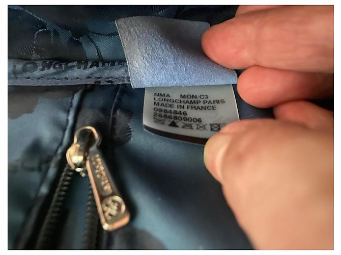 Borsa a mano Longchamp Roseau in pelle blu - vista 5