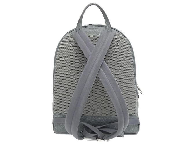 Louis Vuitton Taurillon Kletter Ellipse Rucksack Grau - Ansicht 2