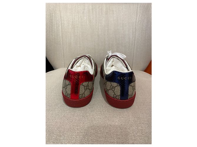 Zapatillas GUCCI T.EU 44 Tela Beige - vista 4