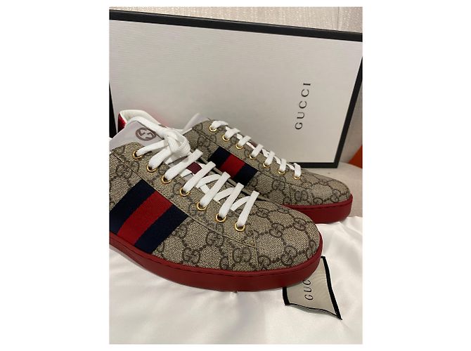 Zapatillas GUCCI T.EU 44 Tela Beige - vista 7