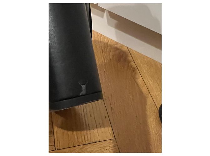Botas de tornozelo Valentino em couro preto com flores e fivela - vista 8