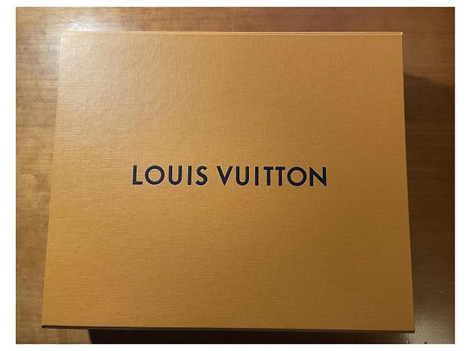 Louis Vuitton Portafiori Monogram Vuoto Beige - vista 8