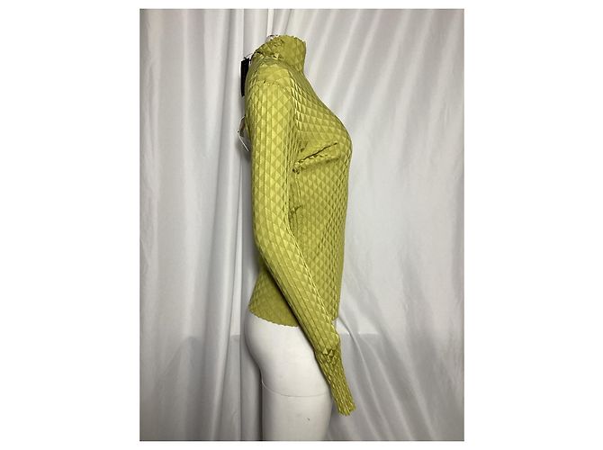 Turtleneck-Pullover aus grüner Seide Bottega Veneta Dragon Underpinned - Ansicht 8