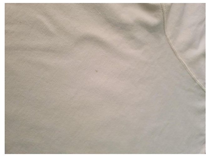 Valentino Cotton Tee Eggshell - view 11