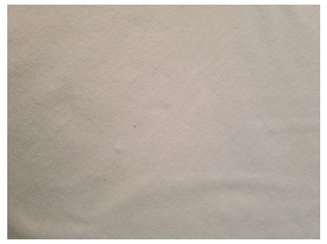 Valentino Cotton Tee Eggshell - view 12
