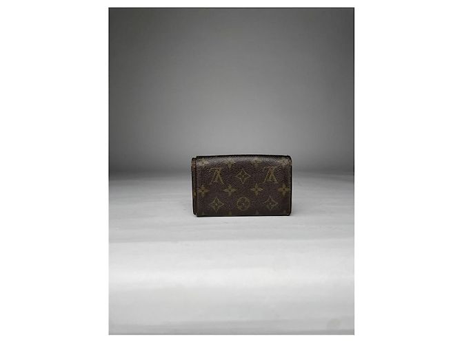 Louis Vuitton Iris braune Lederbörse - Ansicht 3
