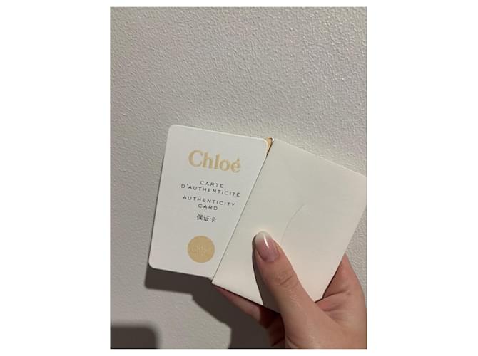 Baylee Chloé CHLOE Borse T. Pelle Nero - vista 14