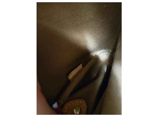 Borsa Louis Vuitton Eva Monogram Marrone - vista 5