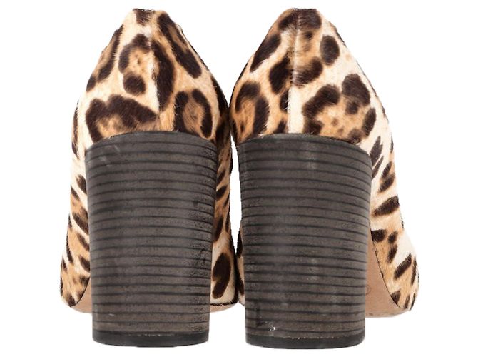 Zapatos Chloé Leopard con borde de concha en pelo de pony marrón - vista 5