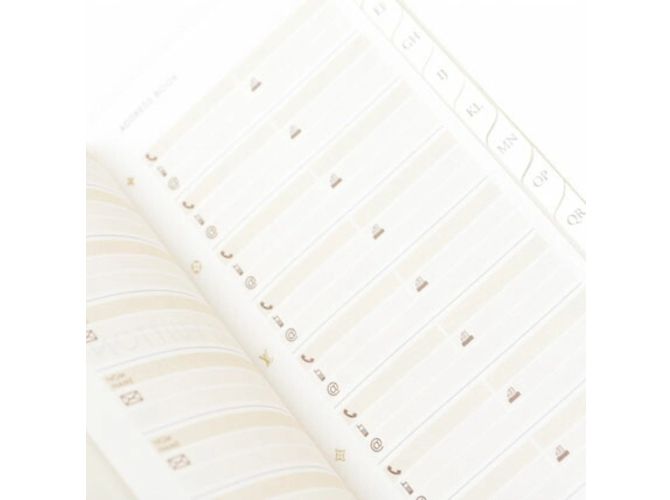 Couverture de planificateur Louis Vuitton Gris - vue 11