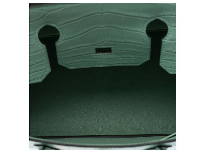 Hermès Sac HERMES Birkin 30 en Cuirs exotiques Vert - 102508 - vue 6