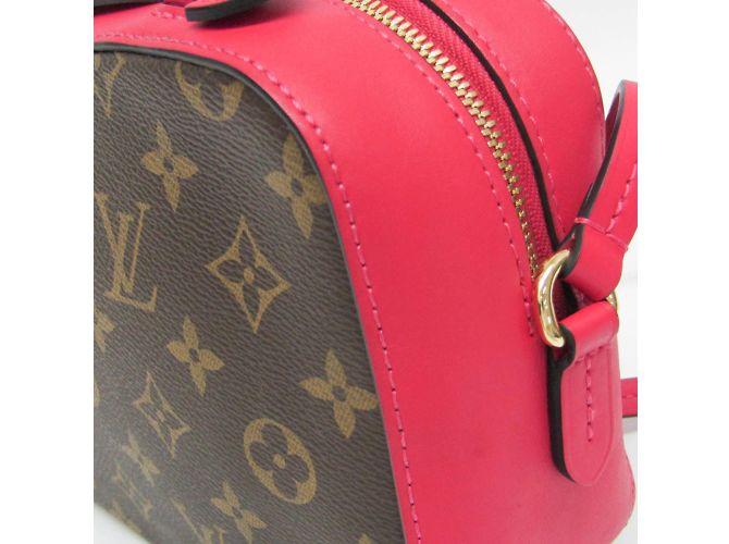 Borsa a Spalla Louis Vuitton Monogram Saintonge M43557 Marrone - vista 5