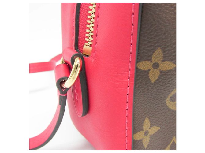 Borsa a Spalla Louis Vuitton Monogram Saintonge M43557 Marrone - vista 8