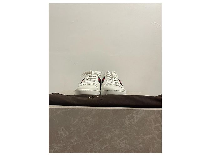 Sneakers GUCCI T.EU 39 Pelle Bianco - vista 7