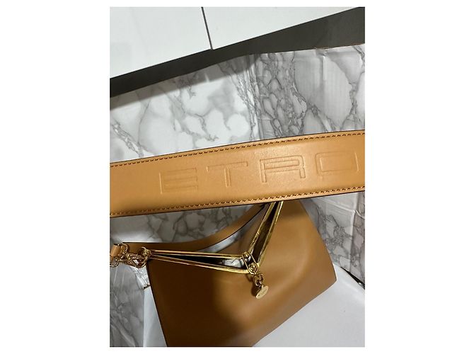Grande borsa a vela Etro Paris Marrone chiaro - vista 10
