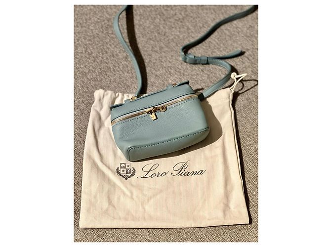 Pochette Loro Piana Extra Pocket Blu Chiaro in Pelle - vista 10