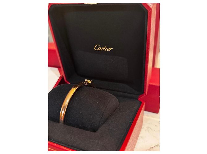 Panthère Cartier Pantera - vista 8