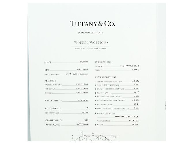 Collana By the Yard di Tiffany & Co. - vista 8