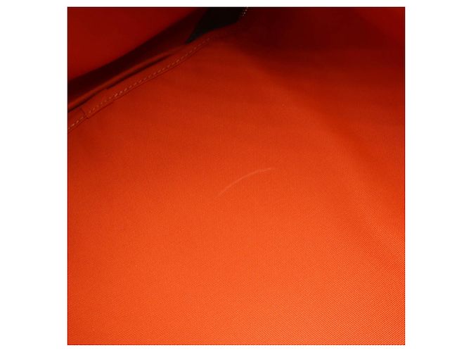 Hermès Borsa per il trasporto di cani Hermes Cachi Marrone scuro - vista 10