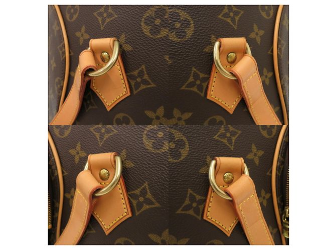 Sac à main Ellipse Monogram Louis Vuitton Marron Monogramme - vue 10