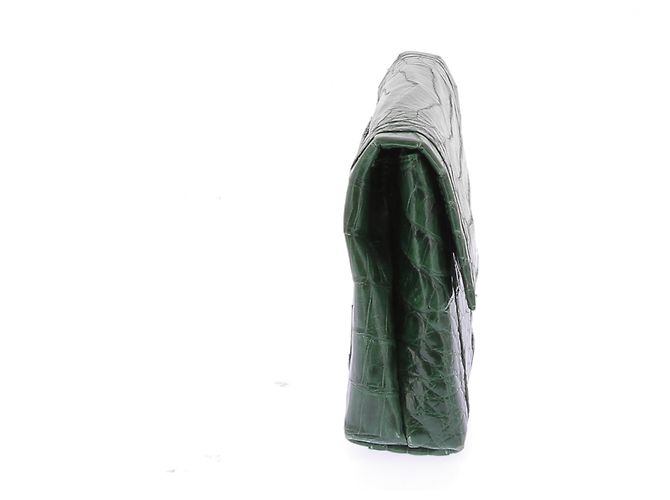 Borse a mano NANCY GONZALEZ T. Pelli esotiche Verde - vista 3