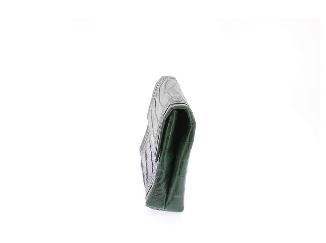 Borse a mano NANCY GONZALEZ T. Pelli esotiche Verde - vista 4
