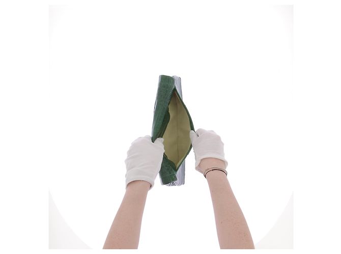 Borse a mano NANCY GONZALEZ T. Pelli esotiche Verde - vista 7