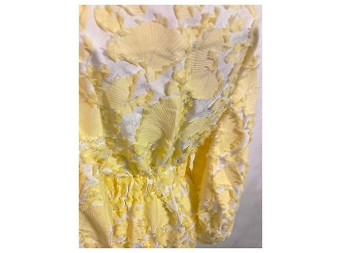 Autre Marque Das Maxi-Kleid The Coat von Katya Silcenko Gelb - Ansicht 5