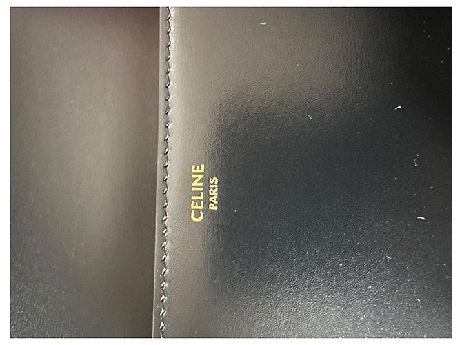 Classic Box Borsa Céline Triomphe in pelle nera Nero - vista 11