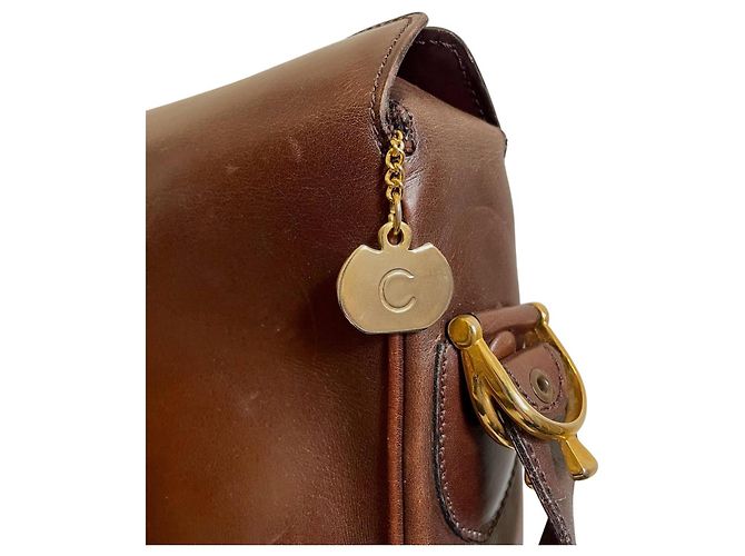 Borsa a mano Céline Triomphe in pelle marrone - vista 10