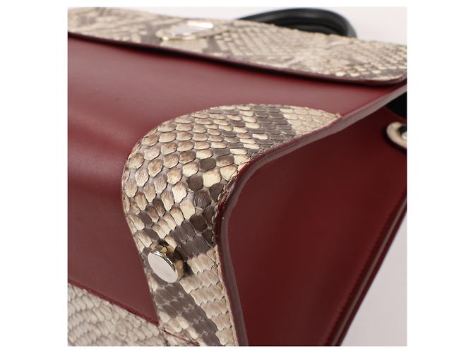 Bolsa Diorever Medium de couro e python 2Way da Christian Dior em bordô - vista 12