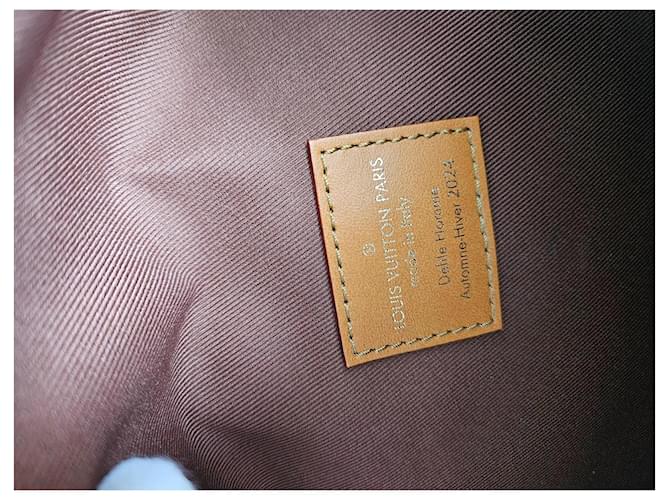 Bumbag Louis Vuitton Bum bag Rush Marrone - vista 7