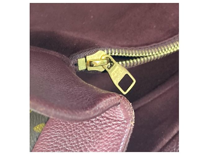 Borsa a Spalla Monogram Olympe di Louis Vuitton Marrone Porpora - vista 14