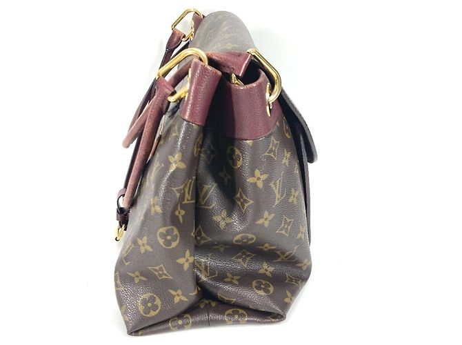 Borsa a Spalla Monogram Olympe di Louis Vuitton Marrone Porpora - vista 4