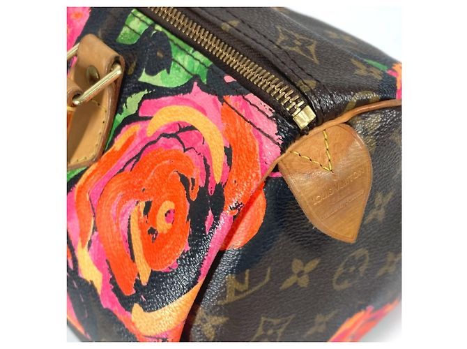 Borsa Speedy 30 Monogramma Rosa Louis Vuitton Marrone - vista 14