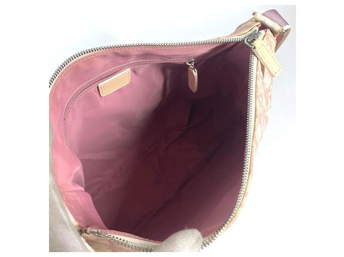 Borsa logo Trotter No. 2 di Christian Dior Rosa Bianco - vista 11