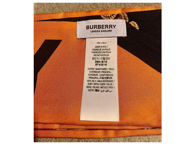 Burberry Seidenschal Mehrfarbig Mehrfarben - Ansicht 4