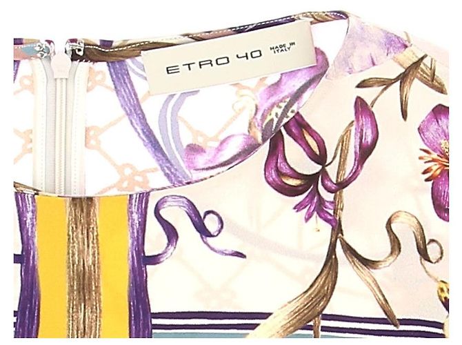 ETRO Kleid T.IT 40 Viskose Mehrfarben - Ansicht 5