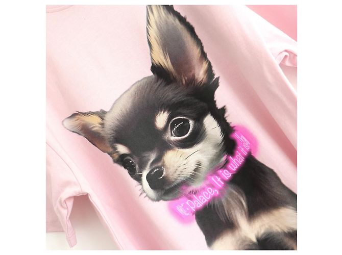 Autre Marque T-shirt Palace Yappy Lush Flush SS25 Esaurito Rosa - vista 2