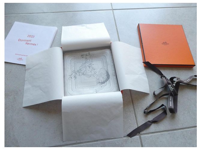 Cuadrado Hermès edición limitada nuevo con su caja 60X60 Gris - vista 5