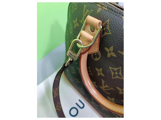 Louis vuitton monogram Alma Monogramma - vista 14