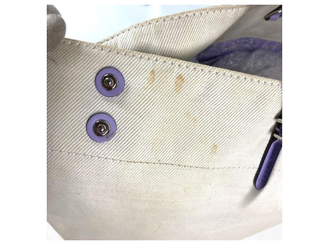 Borsa a tracolla Cabas MM Double Zip della Collezione Estiva Louis Vuitton Beige Porpora - vista 5
