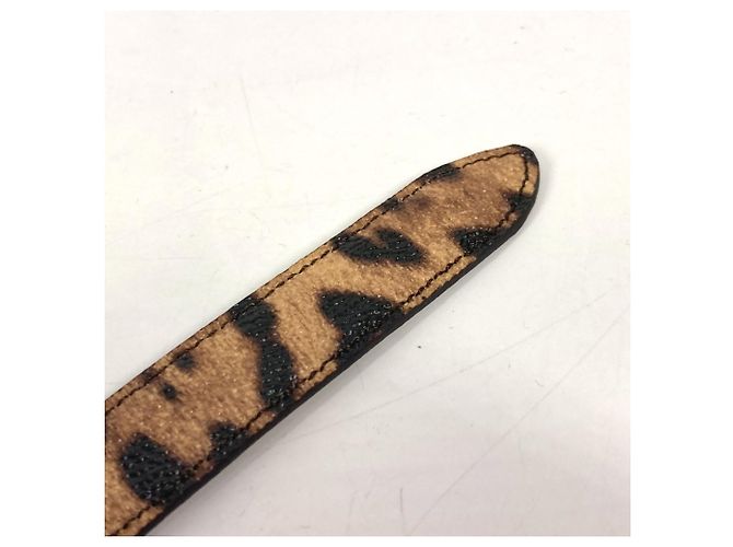Cinturón de estampado de leopardo Dolce & Gabbana Castaño Negro - vista 12