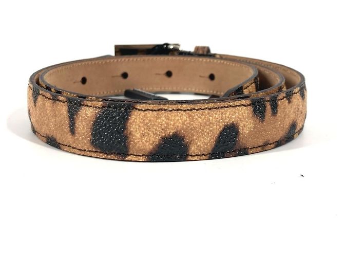 Cinturón de estampado de leopardo Dolce & Gabbana Castaño Negro - vista 2