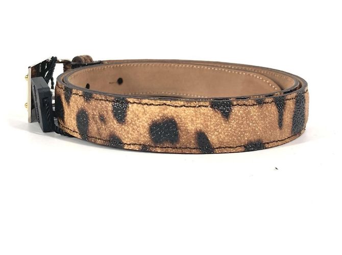Cinturón de estampado de leopardo Dolce & Gabbana Castaño Negro - vista 3