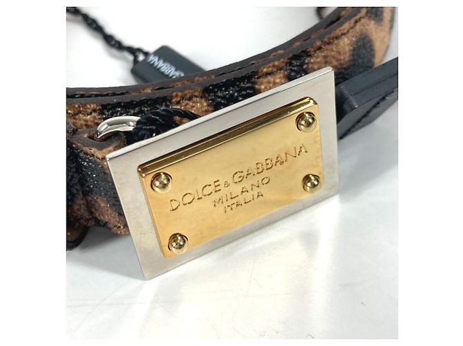 Cinturón de estampado de leopardo Dolce & Gabbana Castaño Negro - vista 5