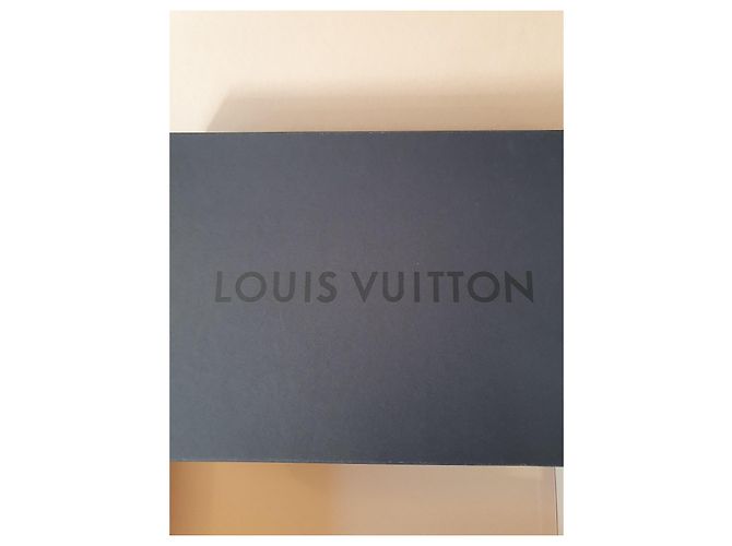 Sofia Coppola Louis Vuitton Escale Palma Infradito Piatto Rosso - vista 5