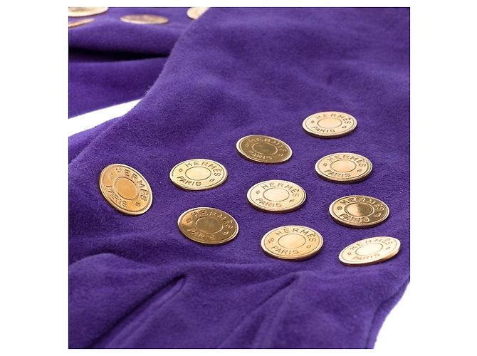 Hermès Accessorio HERMES in Svezia Viola - 102561 Porpora - vista 5